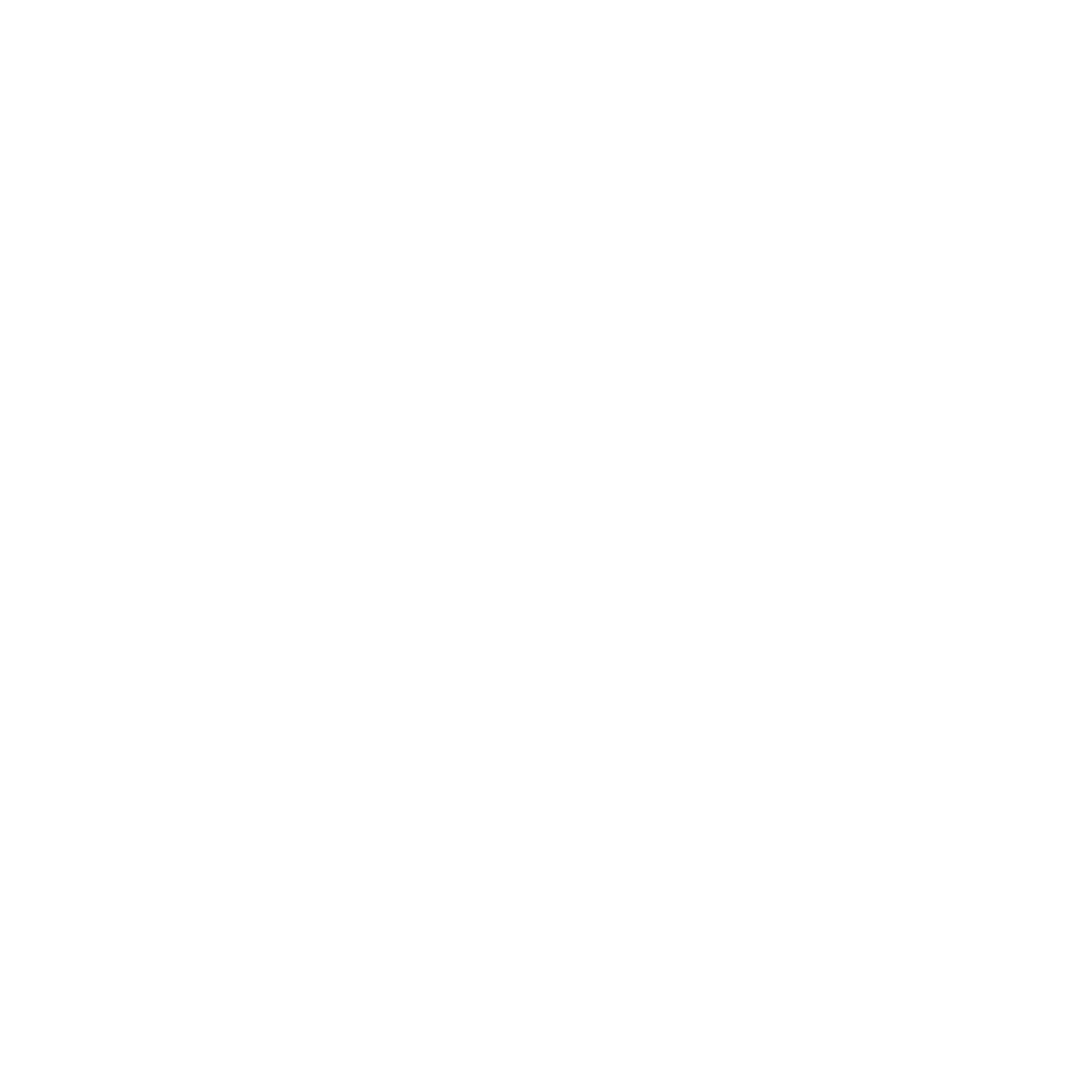 Branding Aloha - Branding and Marketing Agency