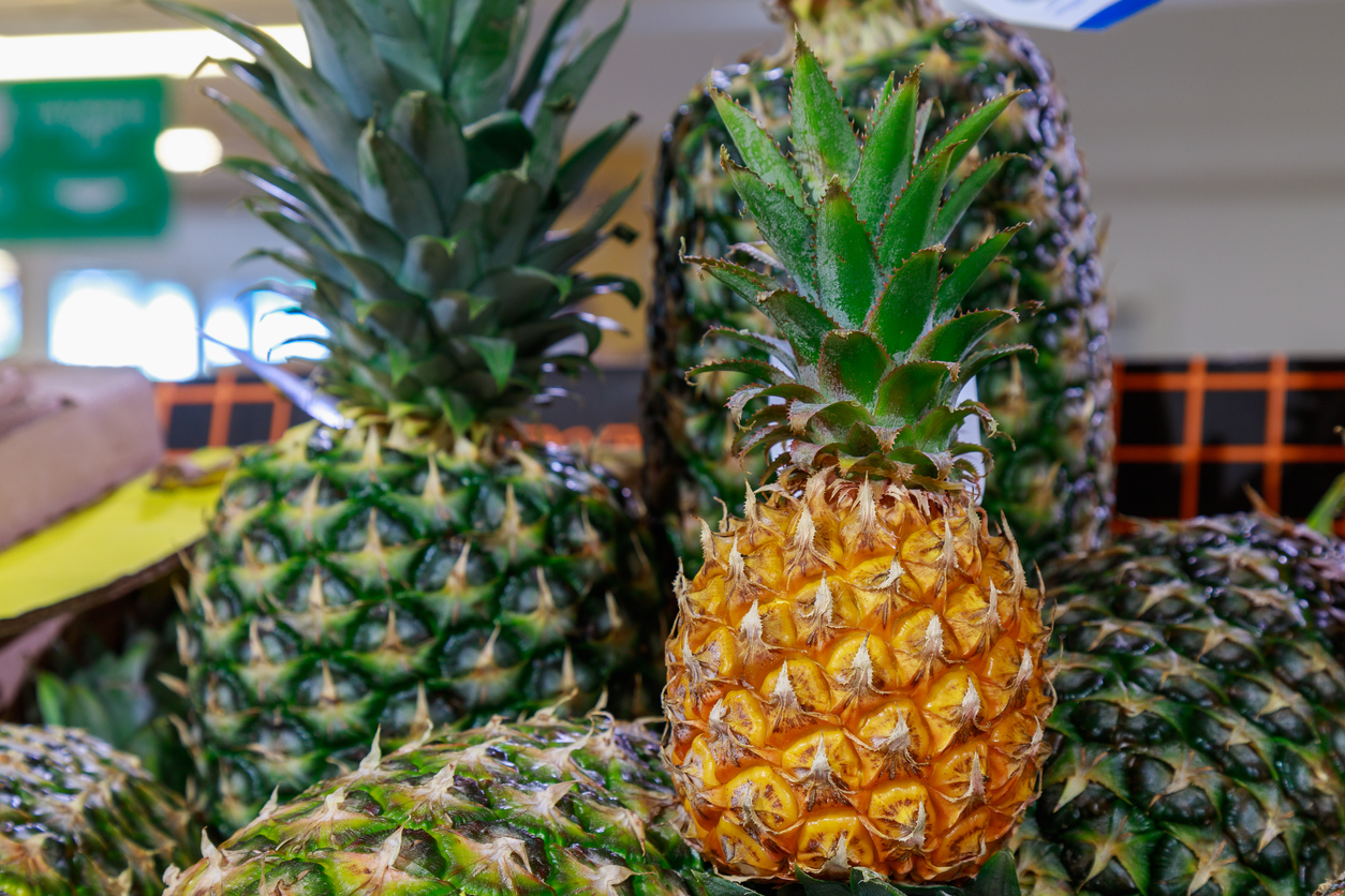 Branding Aloha - TRENDS